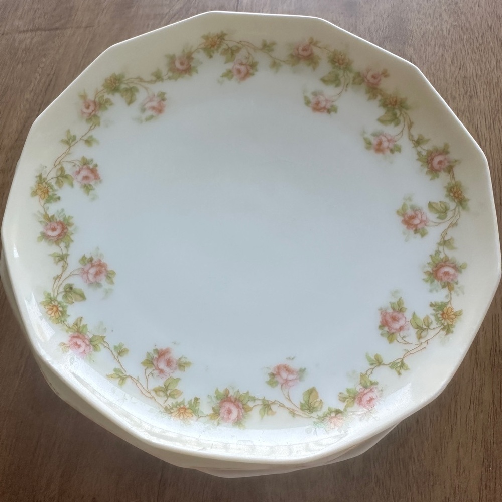 MZ Austria Moritz Zdekauer 1884-1909 Scalloped Handpainted Floral 6”Plates Qty 9